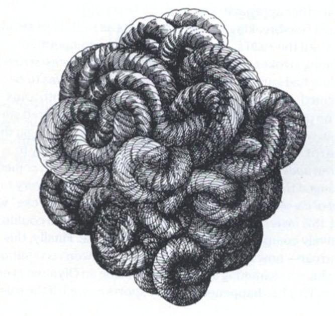 Gordion Knot