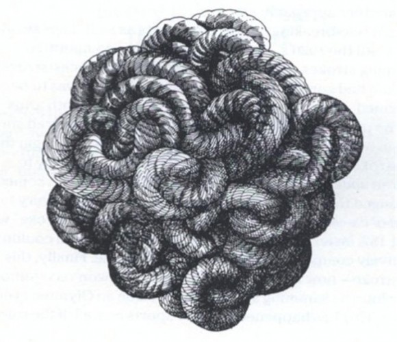 Gordion Knot