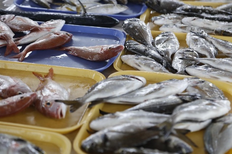 Pescado en Turquía