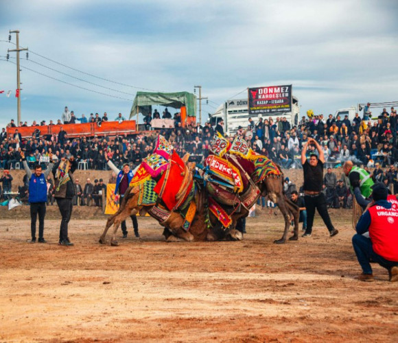 festival in Turkiye